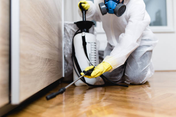Best Wasp Removal Services  in Johnson City, TX