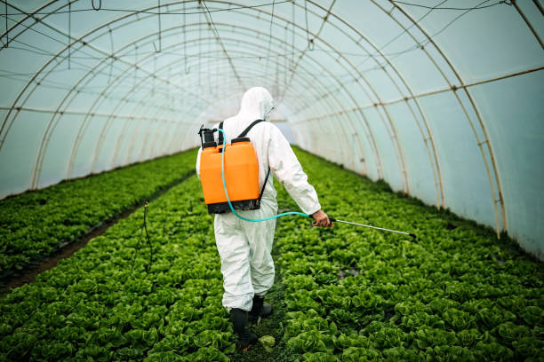 Pest Control for Restaurants in Johnson City, TX