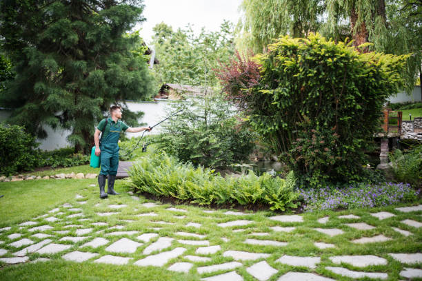 Best Mosquito Control Services  in Johnson City, TX