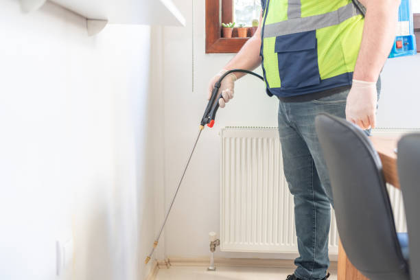 Best Ant Control Services  in Johnson City, TX