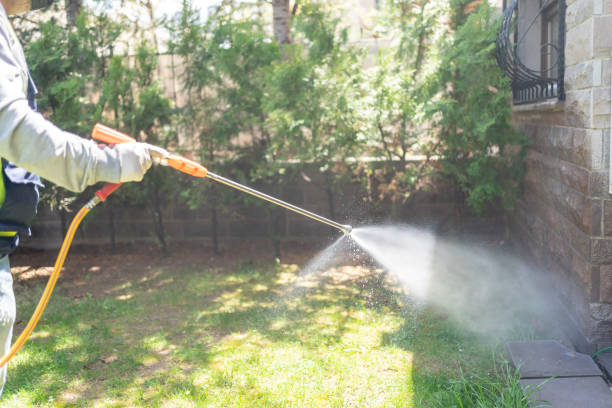 Best Pest Removal Services  in Johnson City, TX