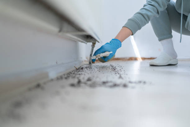 Best Wildlife Control Services  in Johnson City, TX